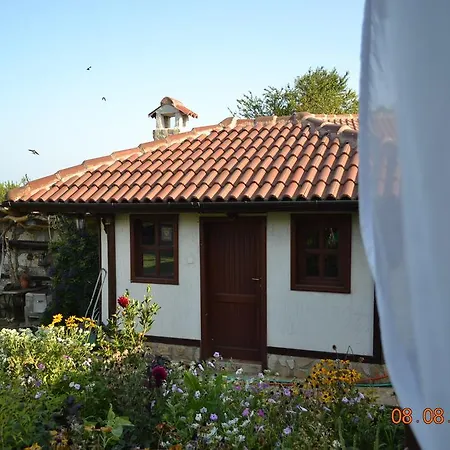 The Doctor's House