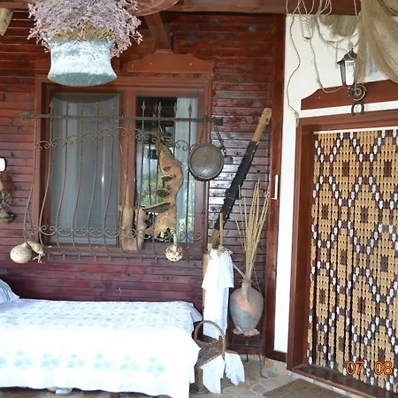 Konukevi The Doctor's House 2*